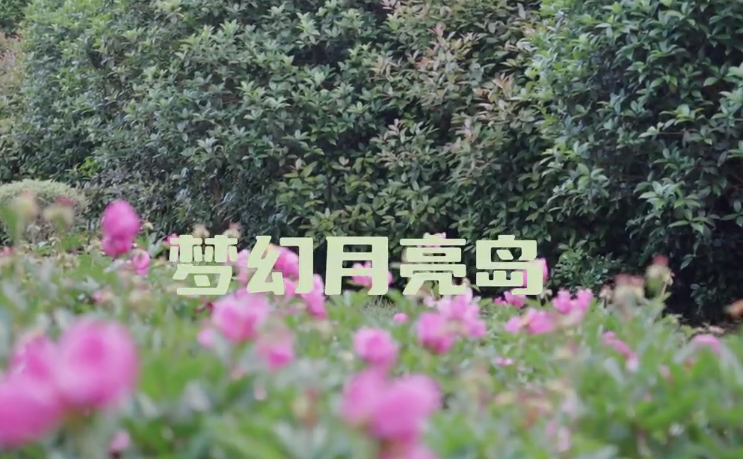 安徽鄉(xiāng)村振興網助力打造環(huán)巢湖農文旅融合示范樣本