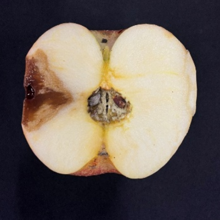 圖片7.png 圖片7.png