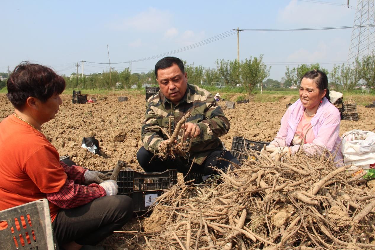 鄉村2.jpeg 鄉村2.jpeg