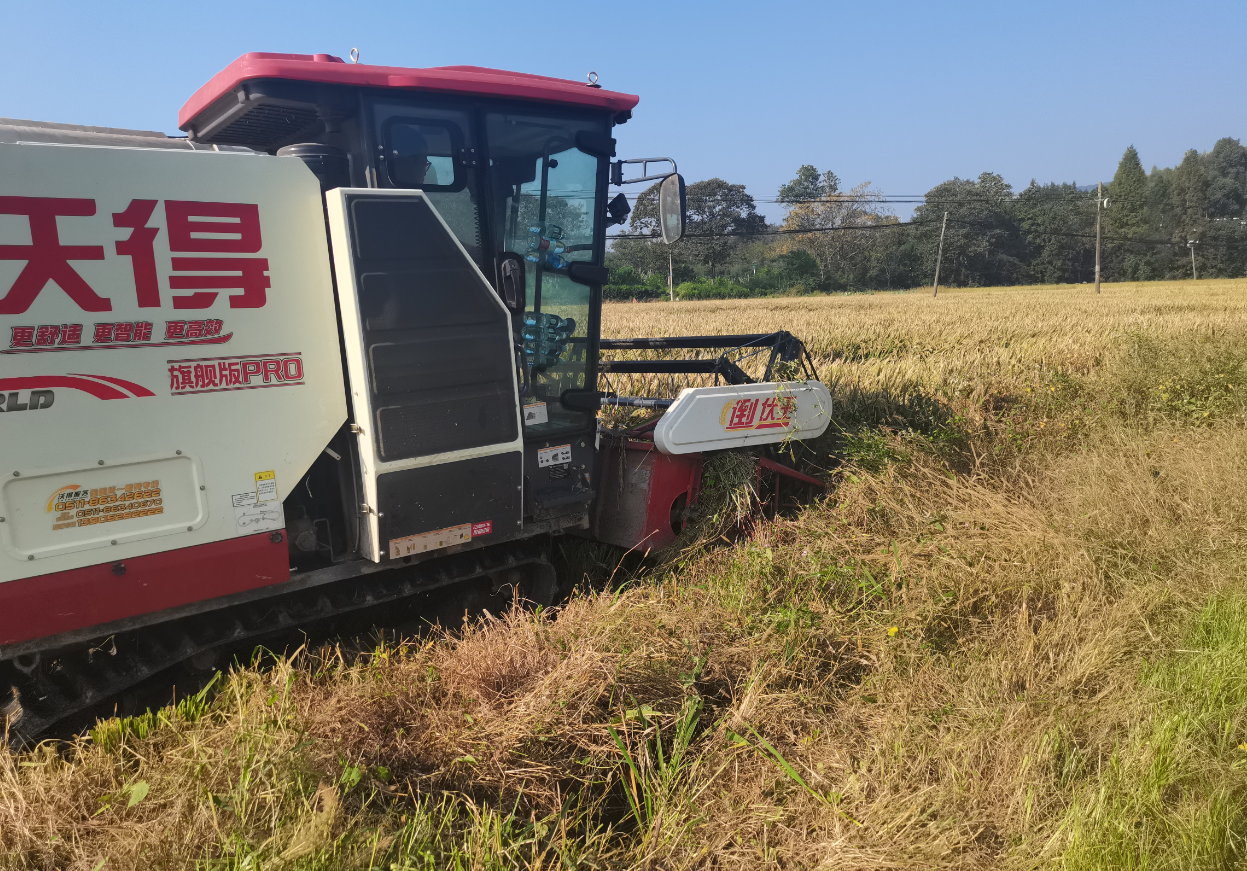 3c732fe7-b0b1-4132-8e01-50b7229bd3ee.png 3c732fe7-b0b1-4132-8e01-50b7229bd3ee.png